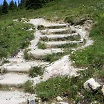 Bichlingerhof Hotel 4*