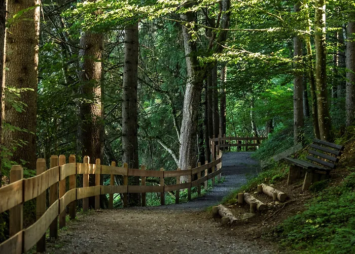 Bichlingerhof Hotel Westendorf
