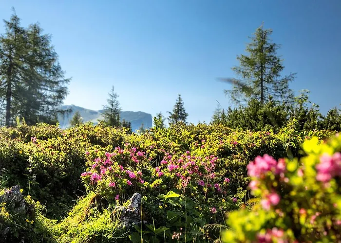 Bichlingerhof Hotel 4*