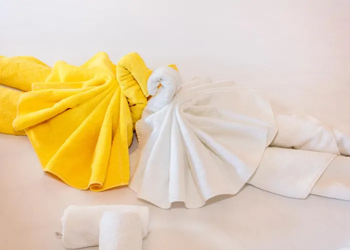 比赫林格霍夫酒店 酒店 4*