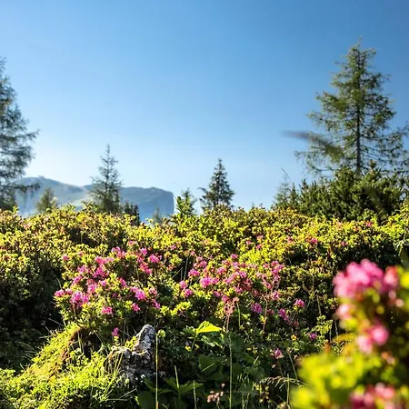 Bichlingerhof Hotel 4*